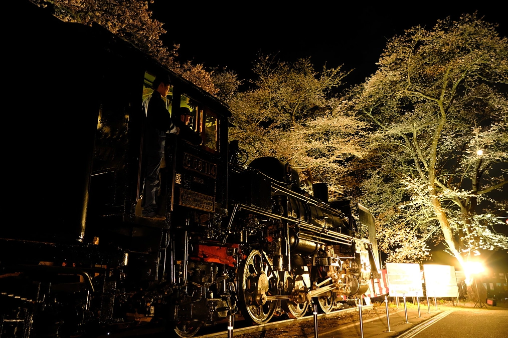 陸羽東線シゴハチ復興プロジェクト完遂！城山汽車まつりを執り行いました🌸🚂
