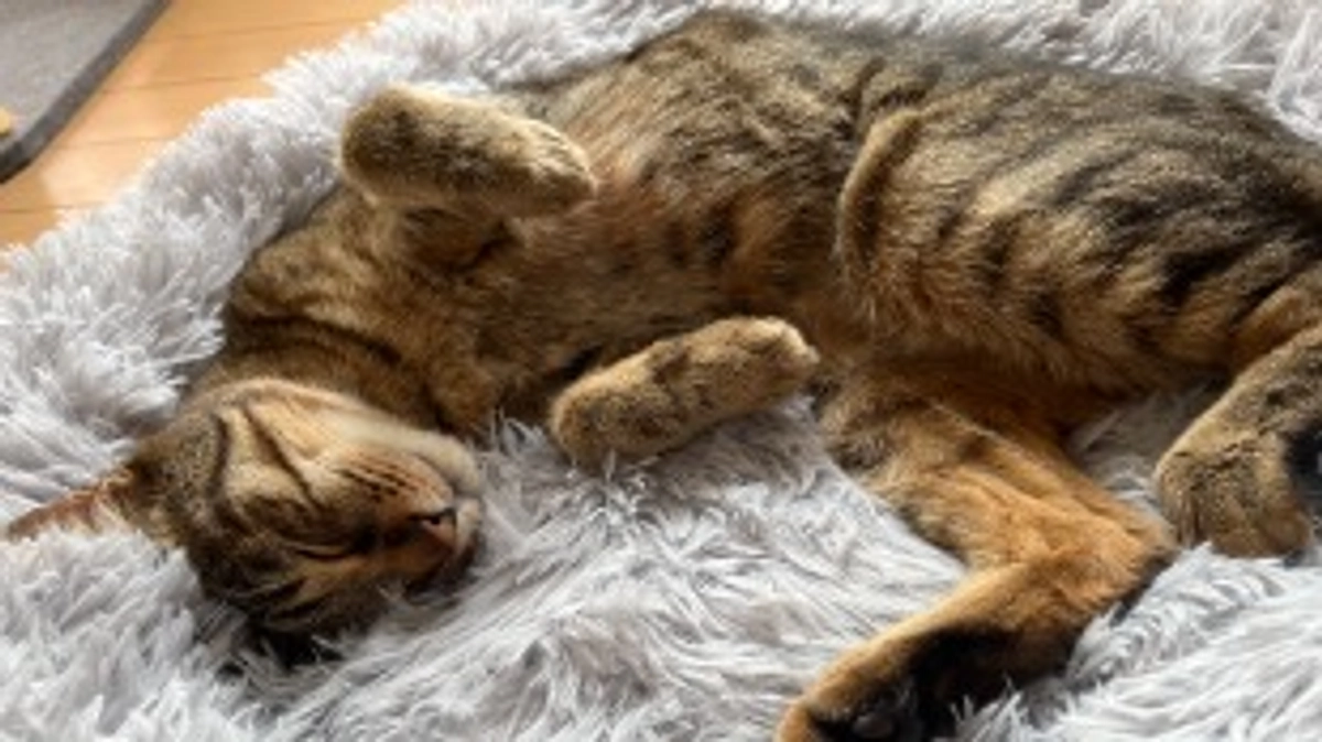 【通院記録】3月9日、17日