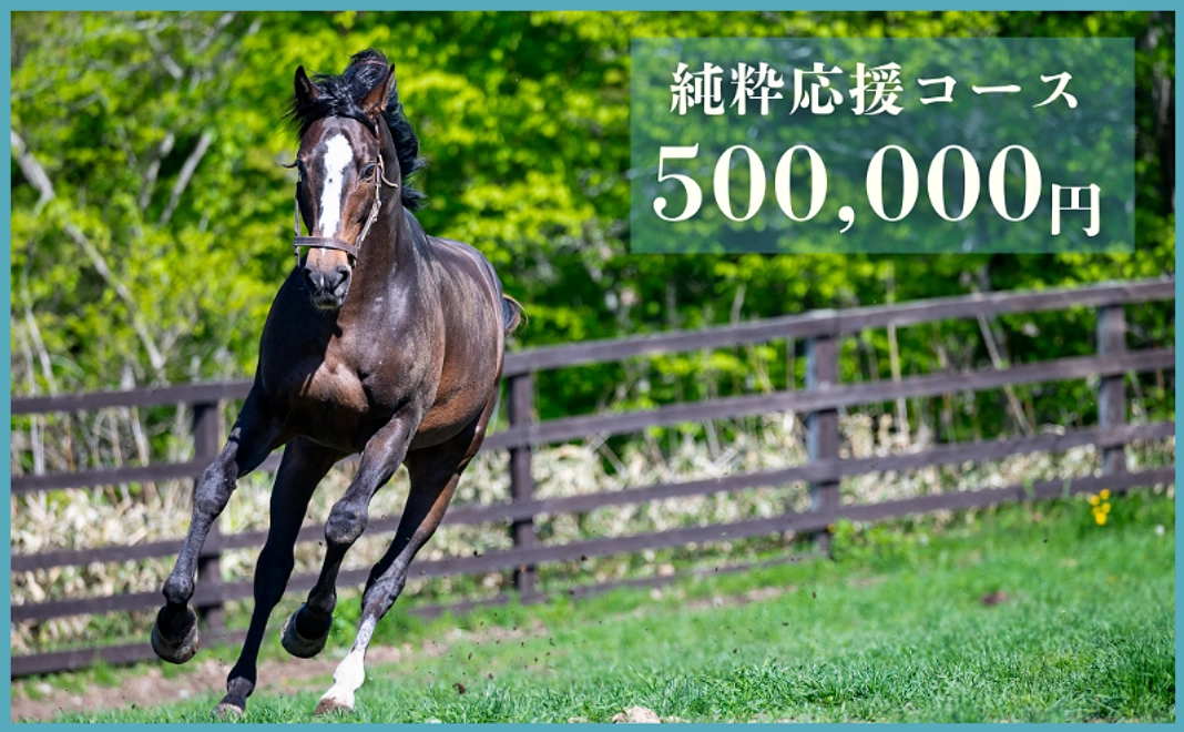 【返礼品不要な方向け】純粋応援コース｜500,000円