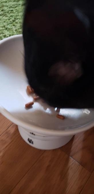 昨日からの幸ちゃん