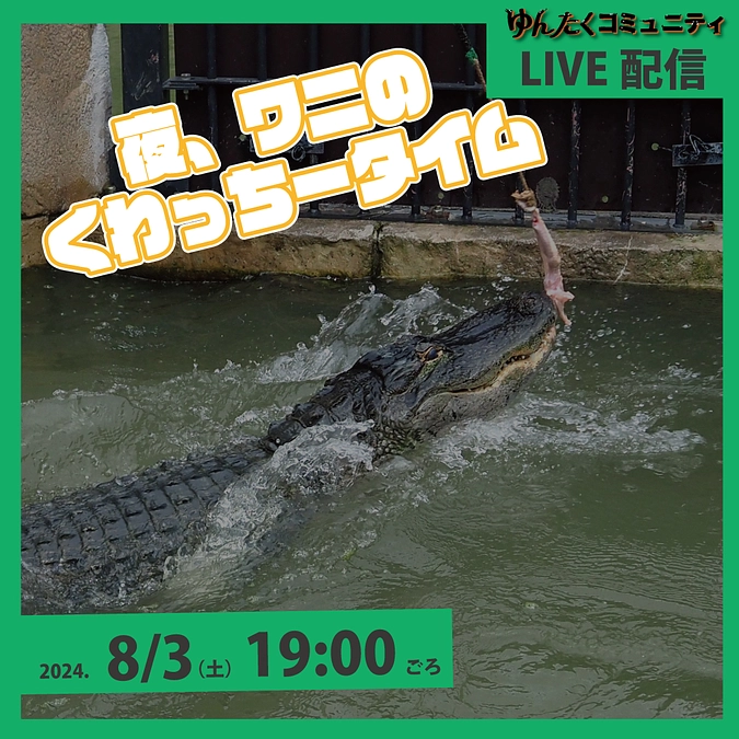 ゆんたくコミュニティ限定ライブ配信「夜、ワニのくわっちータイム」