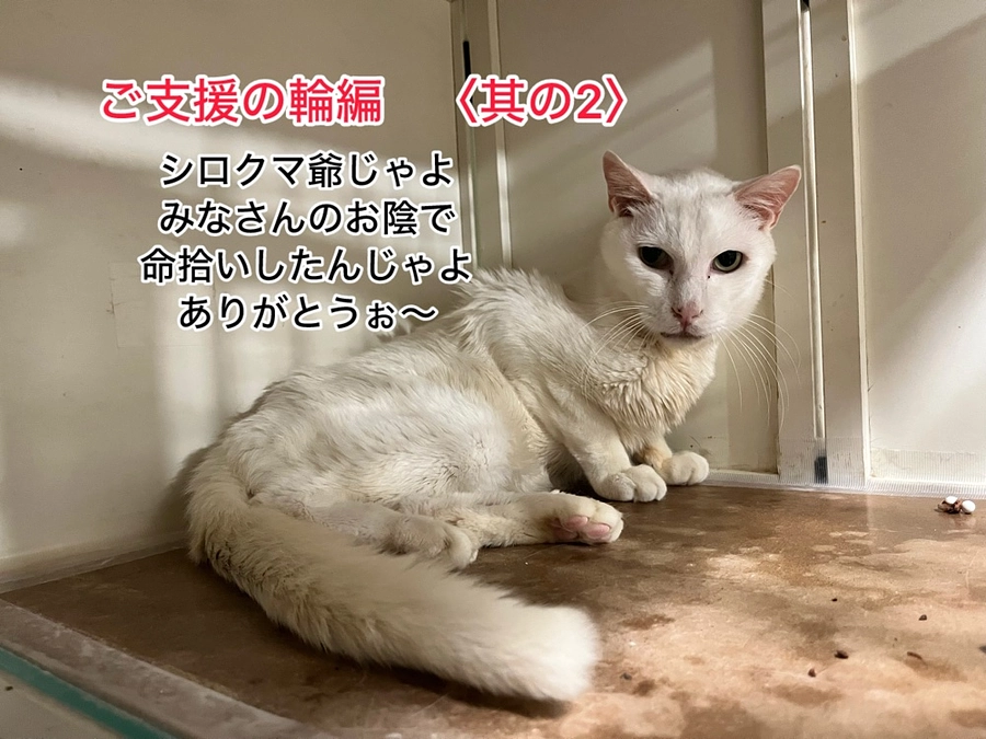 2025年4〜9月　ご支援の輪編　〈其の2〉