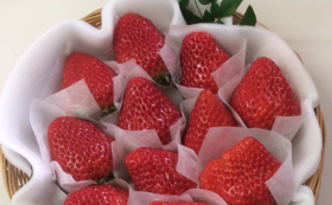 限定紅ほっぺイチゴかごもり＆4パック入り化粧箱