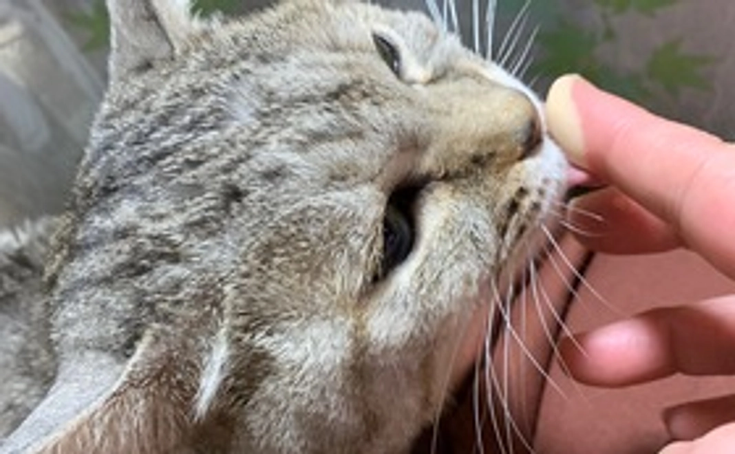 サラちゅきさん