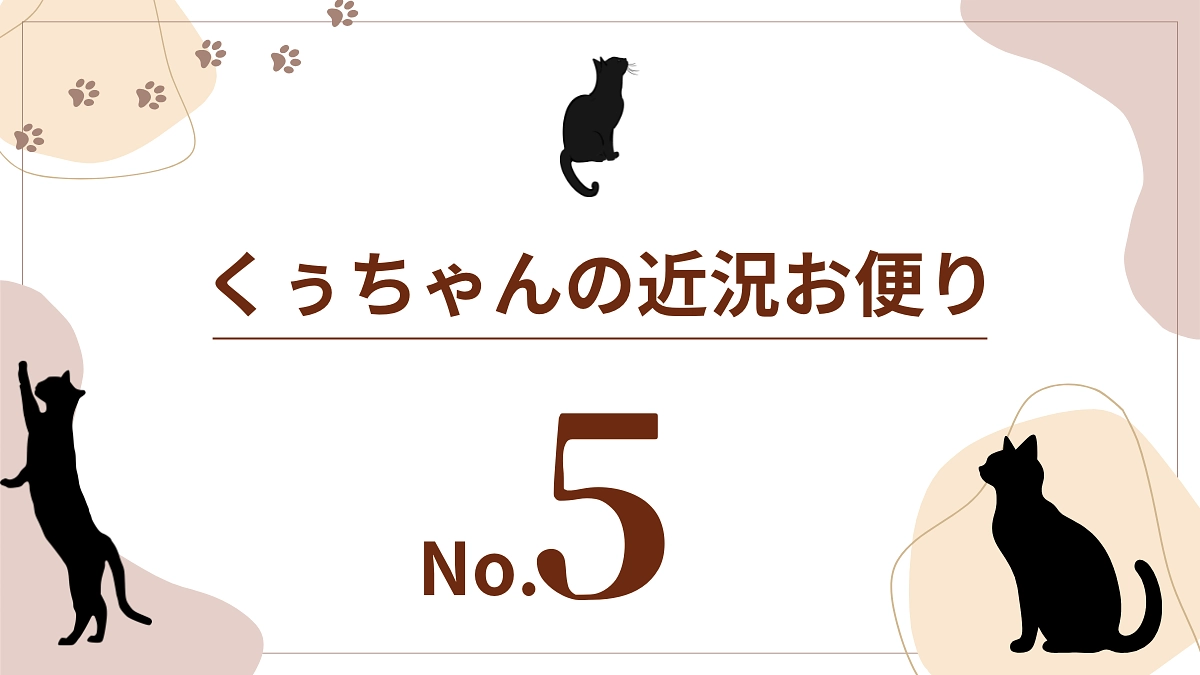 【くぅちゃんの近況おたより（8月9日）】
