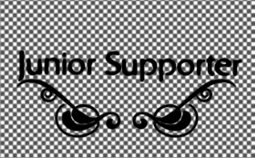 Junior Supporter