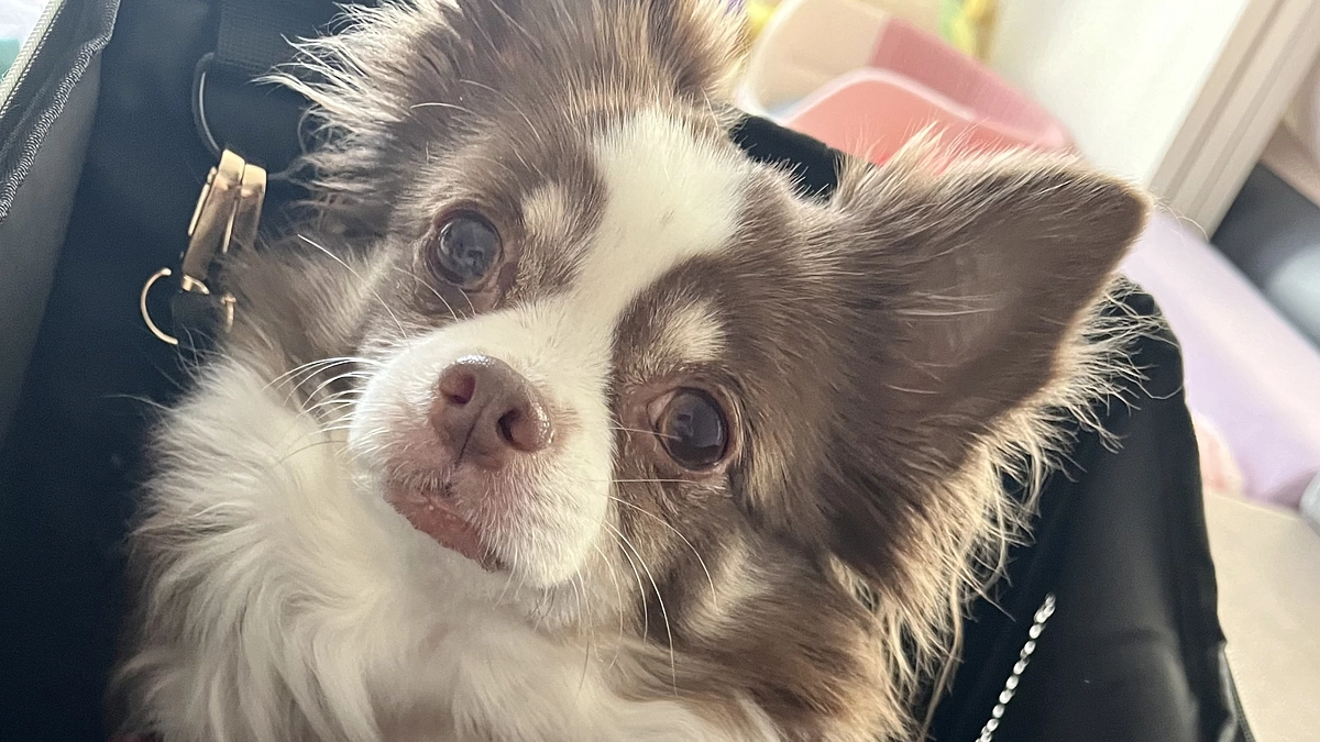 2024.01.08 代理支援反映のご報告☑️