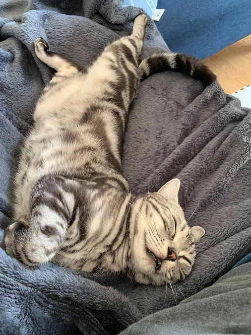 【お詫び】リターン送付遅延のお知らせ