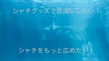 シャチグッズで恩返ししたい！シャチをもっと広めたい！ のトップ画像