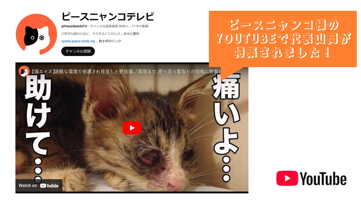 ピースニャンコ様のYouTubeでゆらり代表山岡の紹介動画がアップされました！ぜひご覧ください！