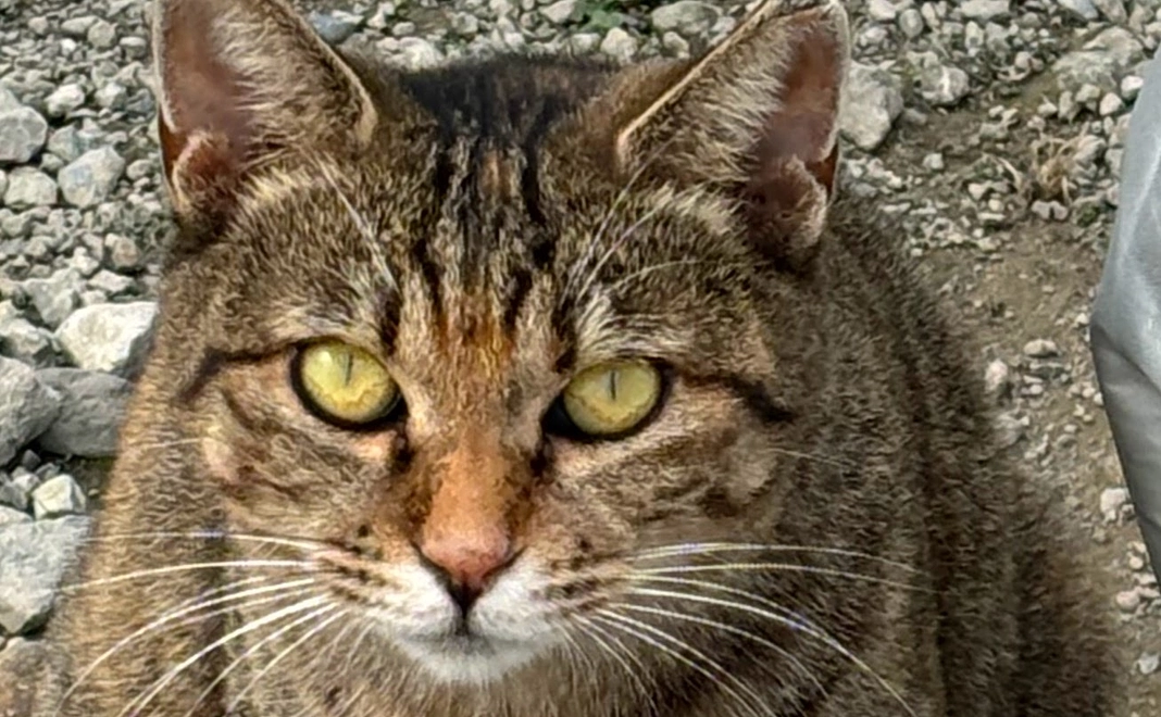 よろしくお願いいたします!