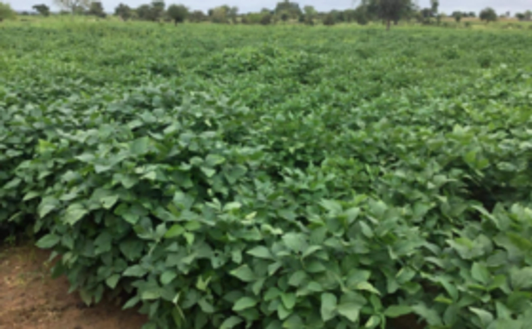 【大好評！】農業普及員を応援コース