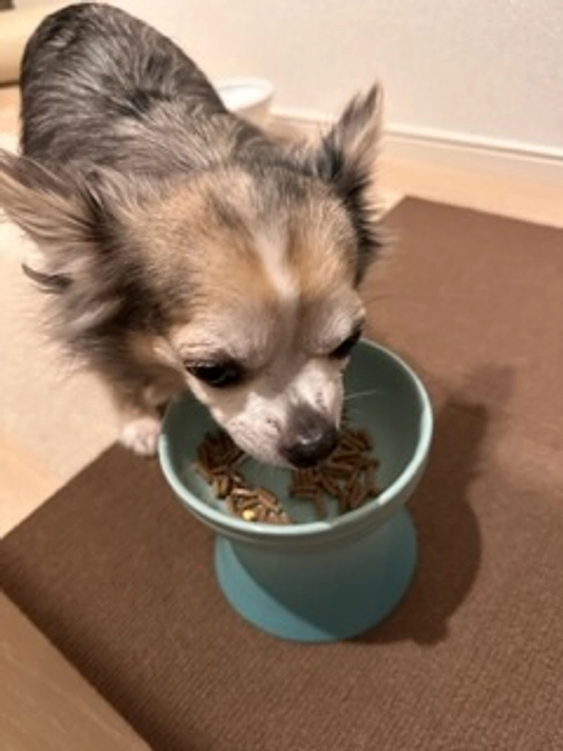 🤣🤣運動不足解消🤣🤣