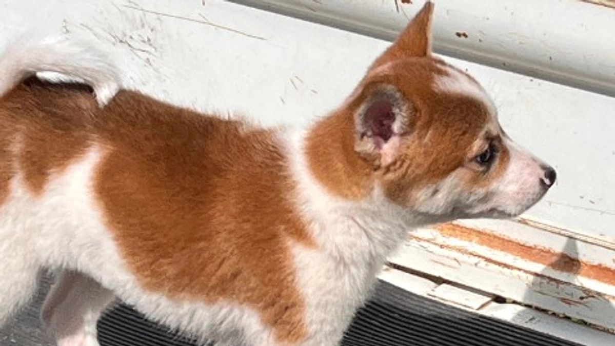 まさかの出来事が起こりました