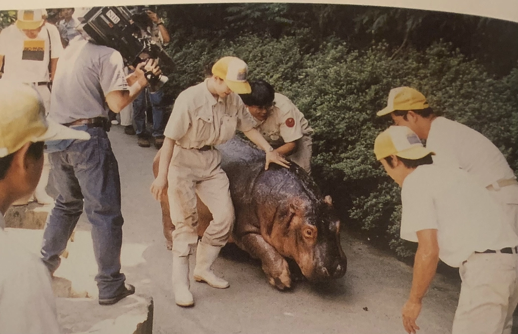 最初の職場とカバのモモちゃん