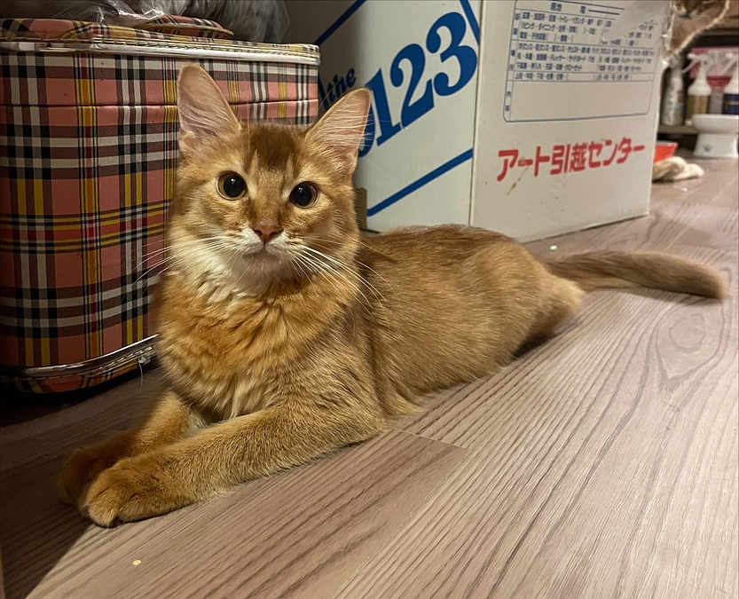 ★2023年10月20日：投薬31日目★