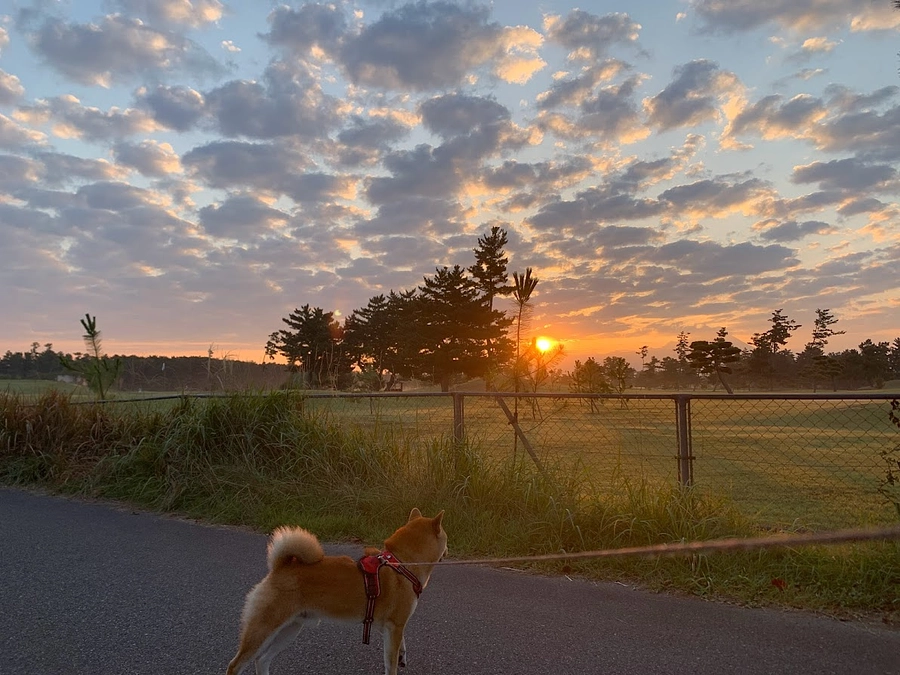 それは突然やってきた！！