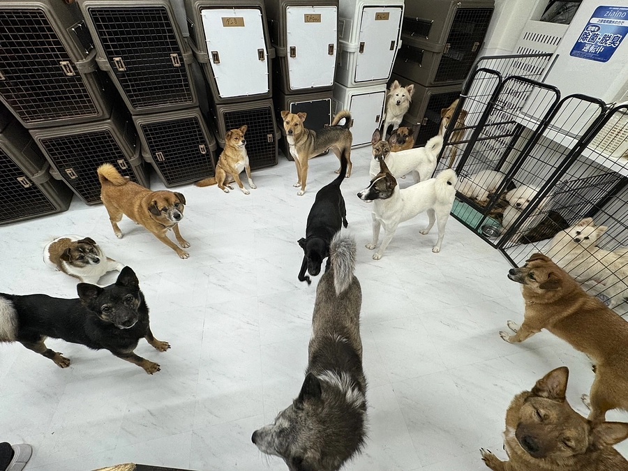 収支報告について