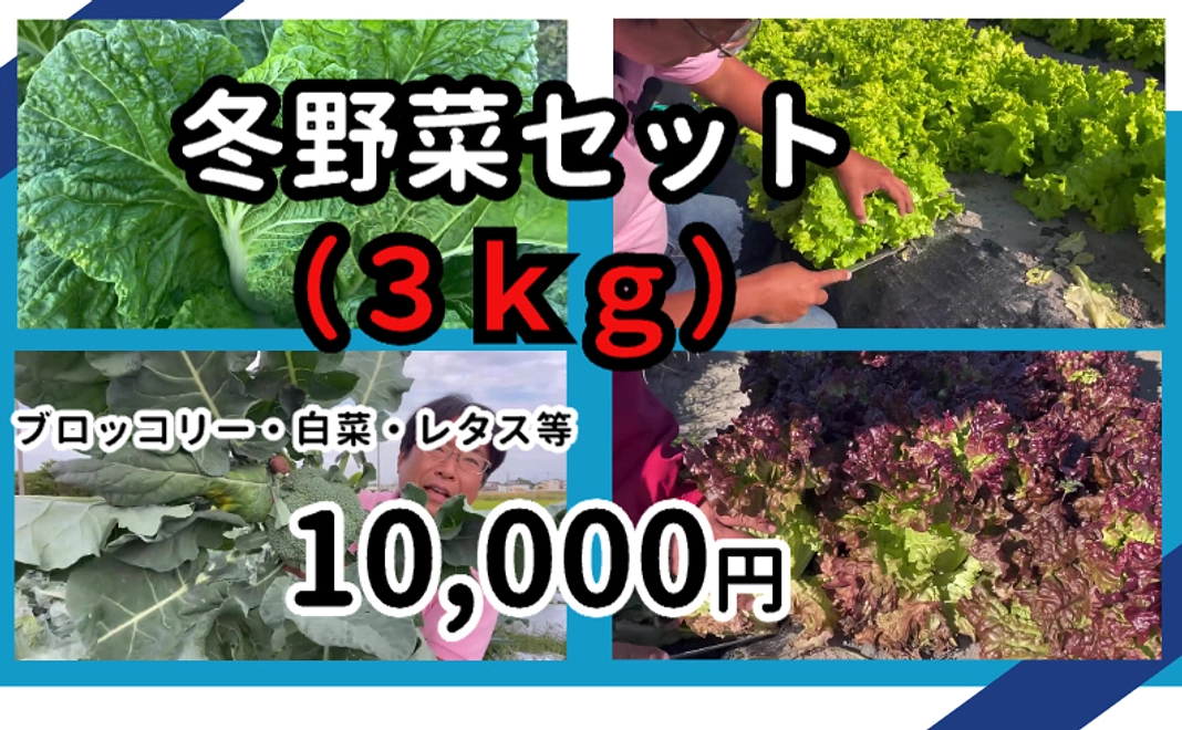 冬野菜セット（3ｋｇ）