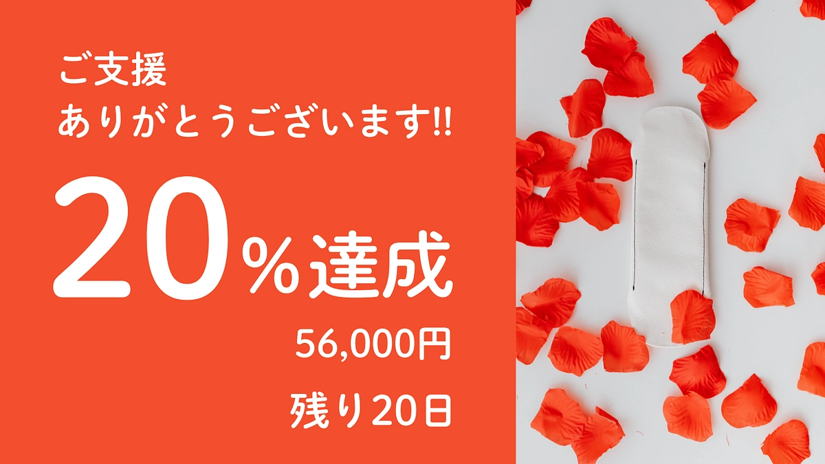❗❗目標金額の20%を達成しました❗❗