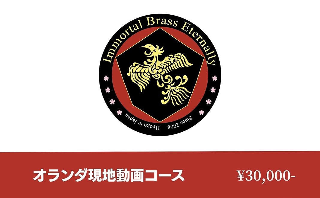 【リターン品不要】オランダへ届け!全力応援(現地動画つき)