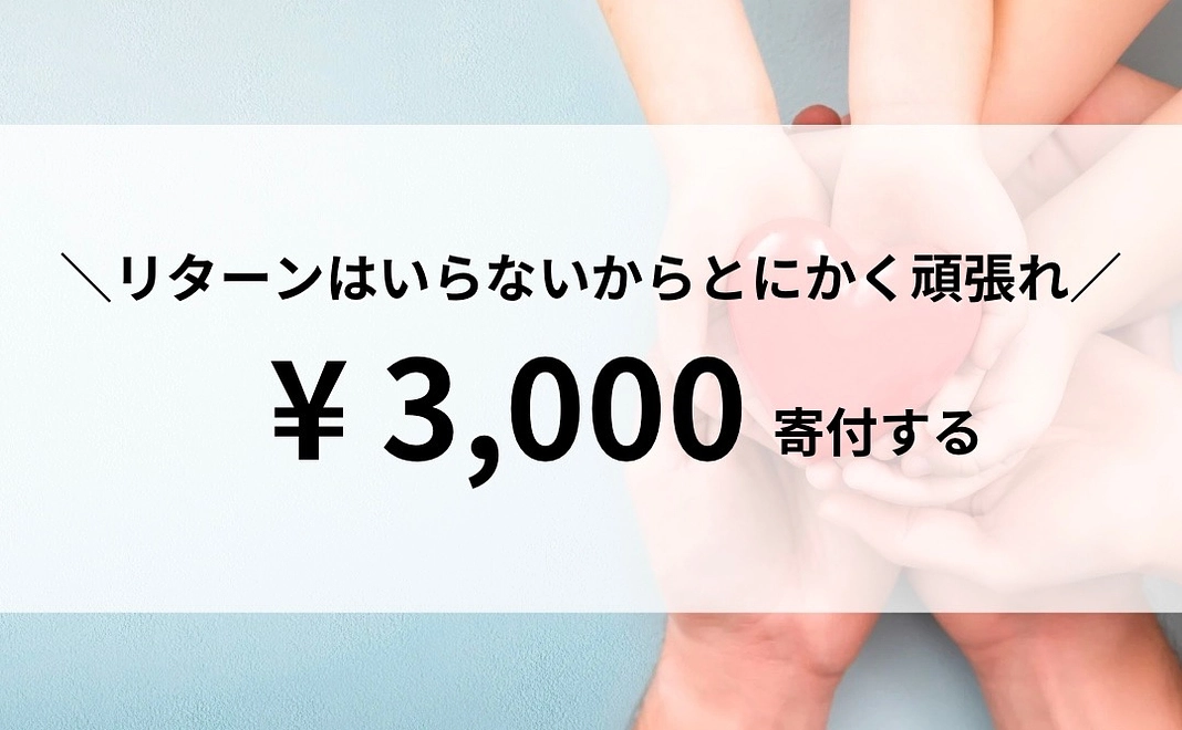 【寄付】リターンはいらないから、とにかく頑張れ！3,000円寄付する！