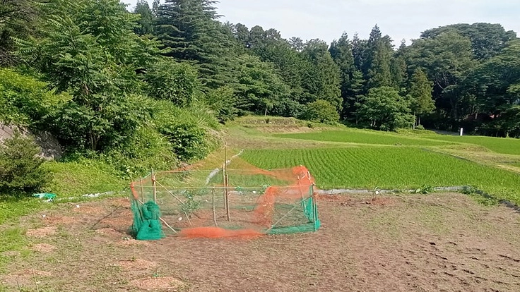 農業で地元を元気にしたい！