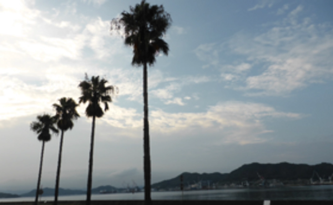 プロジェクトのご報告