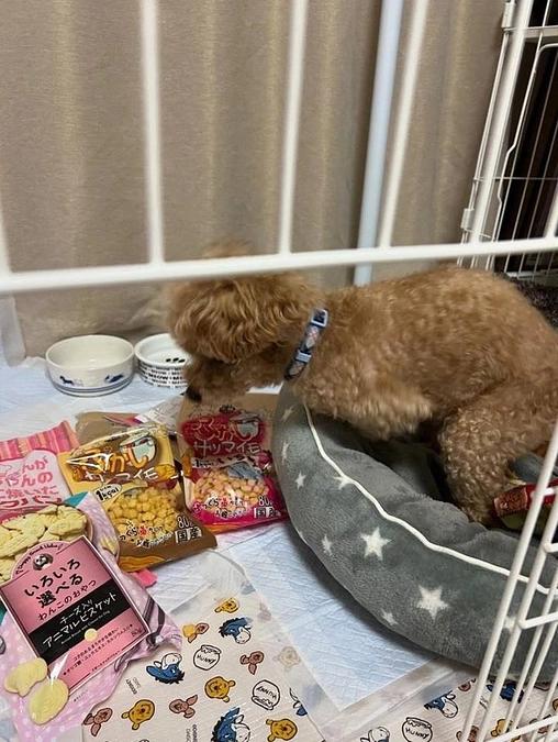 ３月２９日　活動報告