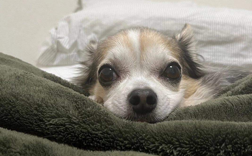 感謝のメール&活動報告　￥2000