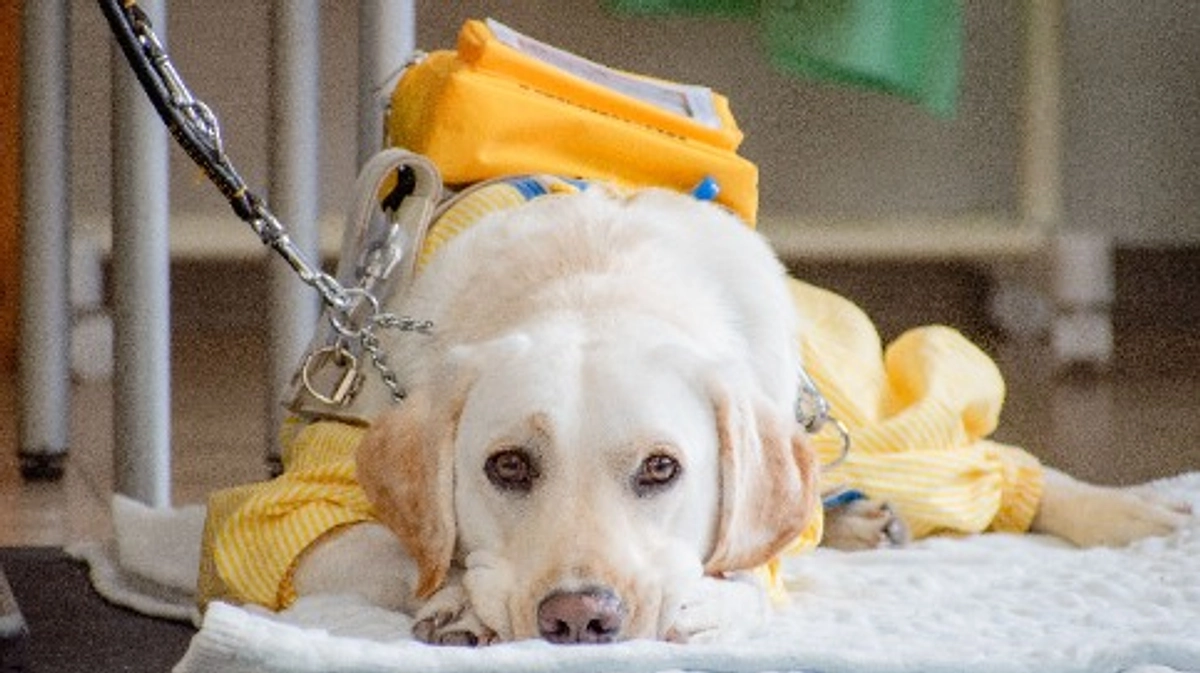 わんスリーサポーター５０人達成！