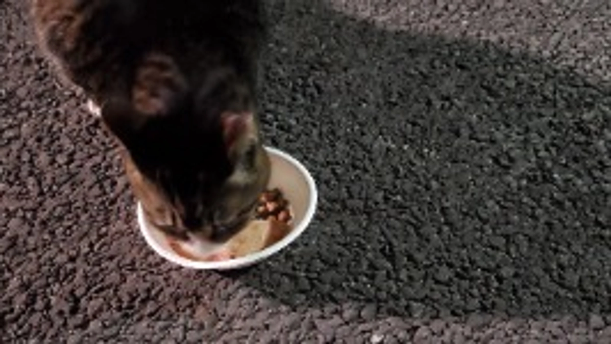 3/2 昨日は過ごしやすい天気だったのに会えない子が多くて心配がつきません。