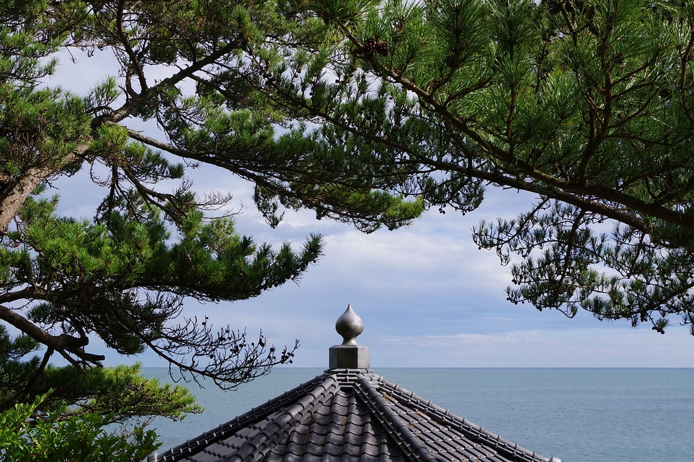 【応援ありがとうございます】新聞掲載と観月会2025についてのご報告