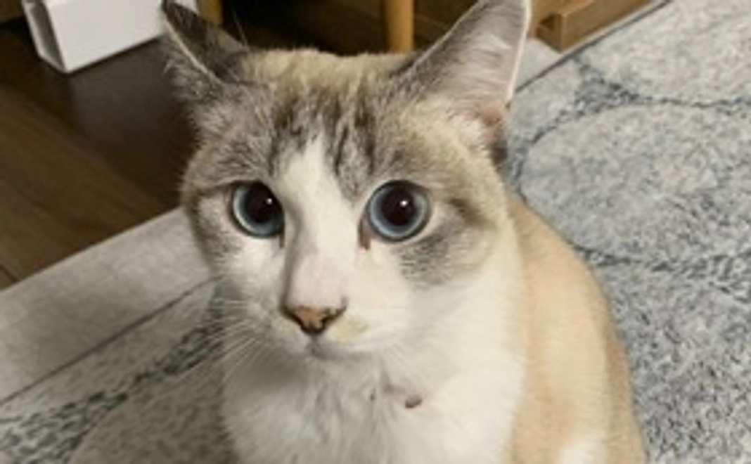 ユキ応援コース①