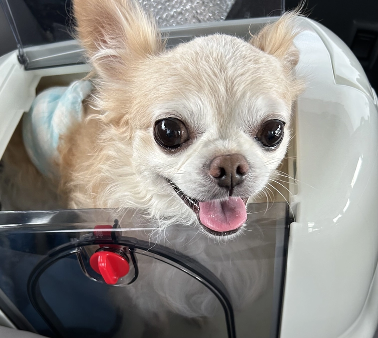 クラウドファンディング残り4日となりました💦