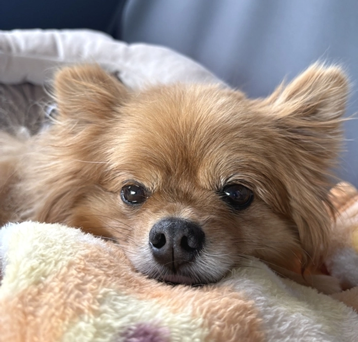 手術で繋がった命が再び笑顔で過ごせるように