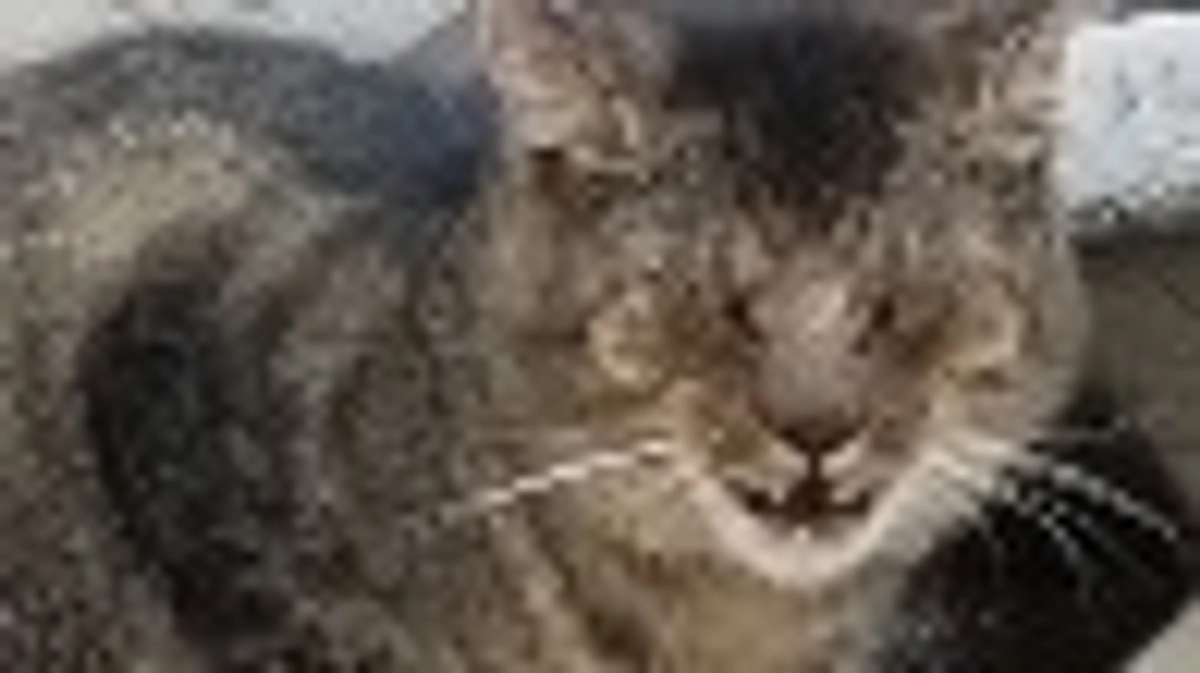 助けてください。