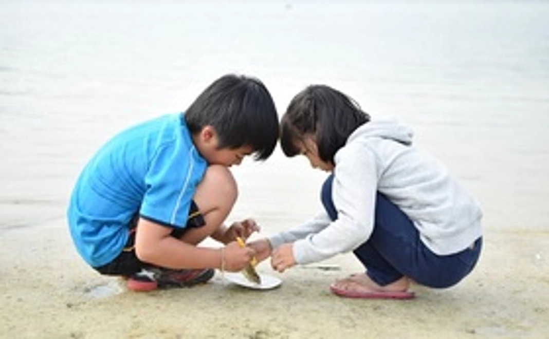 お礼のメッセージ