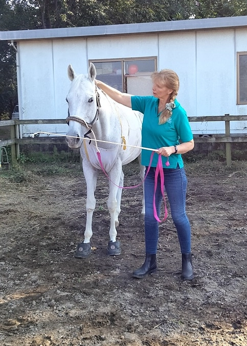 3/15テリントンタッチ1Dayワークショップにいらっしゃいませんか？