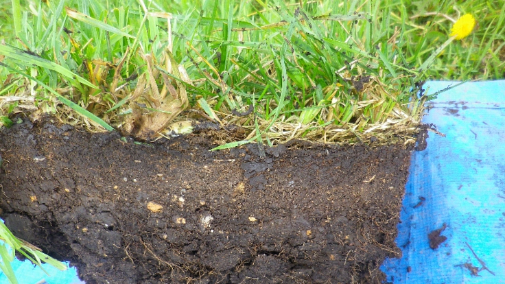 土と水を保全する農業や漁業応援プロジェクト