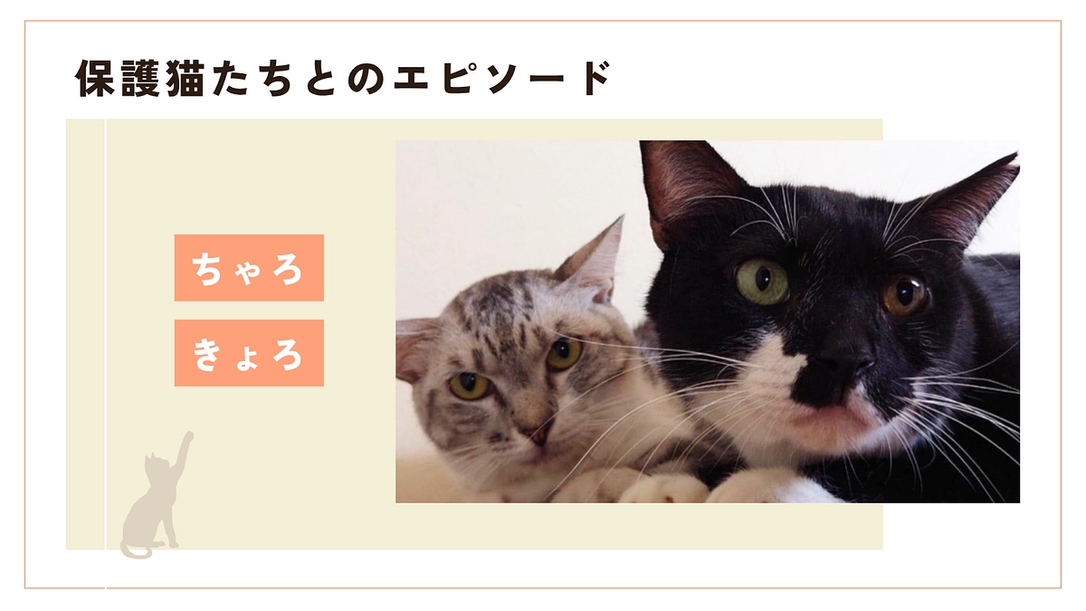 きょろ君&ちゃろちゃんの奇跡の幸せ物語