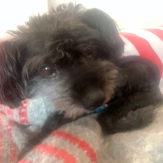 代理支援のご案内