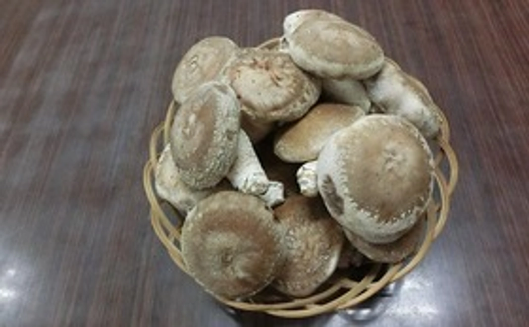 目指せ脱炭素　原木生しいたけ1kg（栽培期間中、農薬不使用）