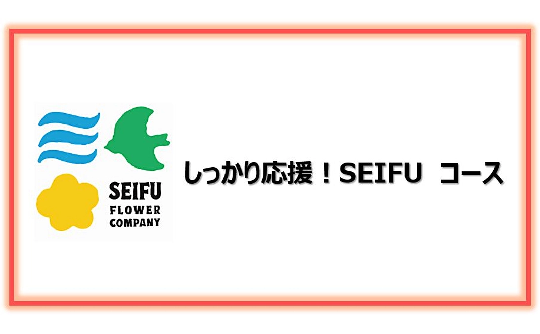 【リターン不要の方向け】しっかり応援！SEIFUコース