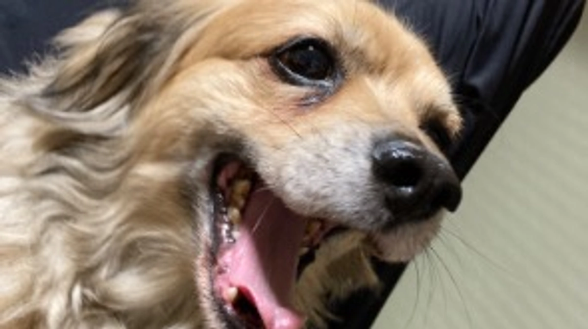 湿度の高い一日