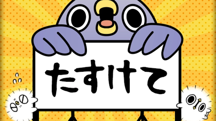 「めんトリ」をアニメ化！「トリあえず」一口飼い主募集します！