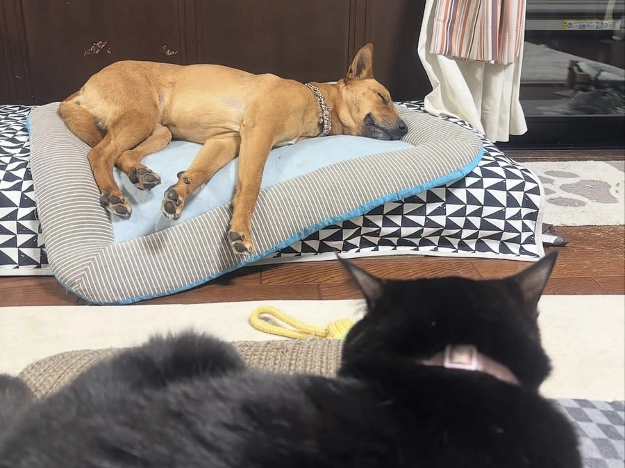 チラシ設置の協力店さま② 楽しい時間が過ごせそう