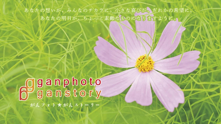 がんでも人生は楽しめる!一瞬をとらえた写真展を開催!