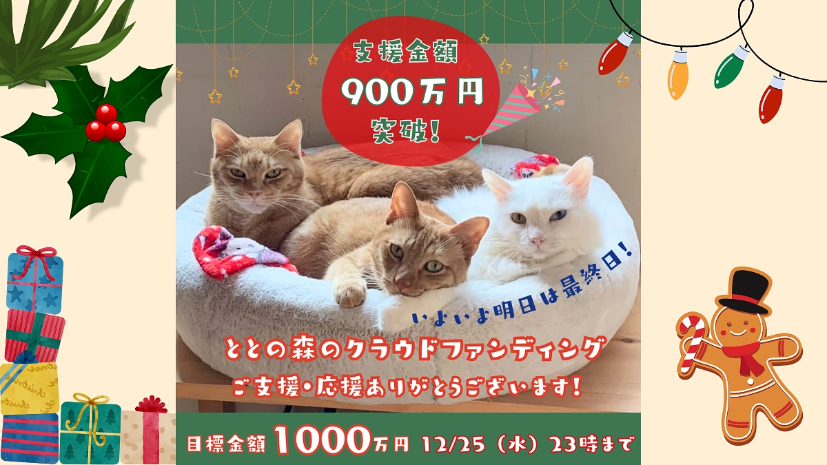Merry Christmas❣️900万円突破‼️