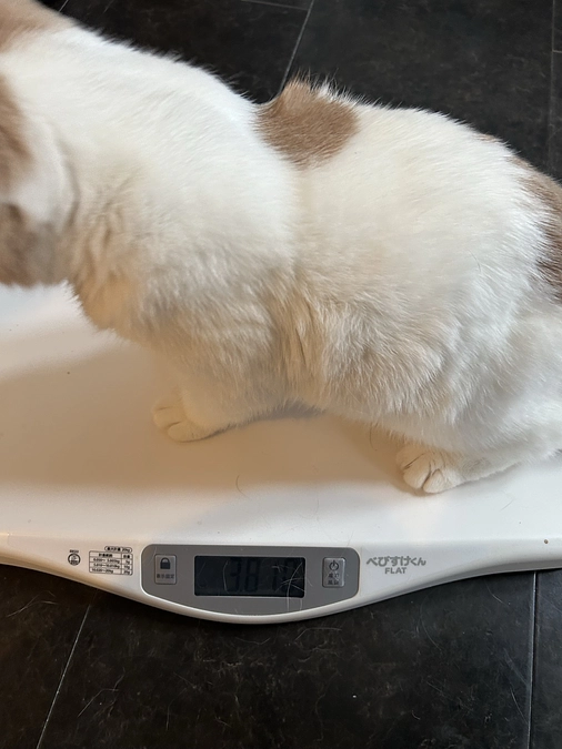 ついに‼️突入